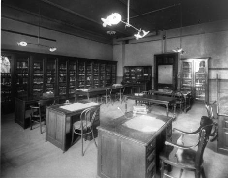 The library.